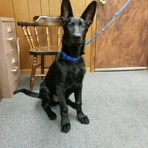 Meet your Posher, Karen